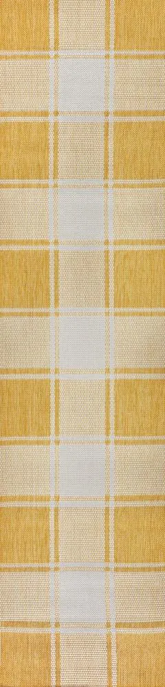 Acrylic Traditional Farmhouse Bold Gingham Indoor/Outdoor Area Rug